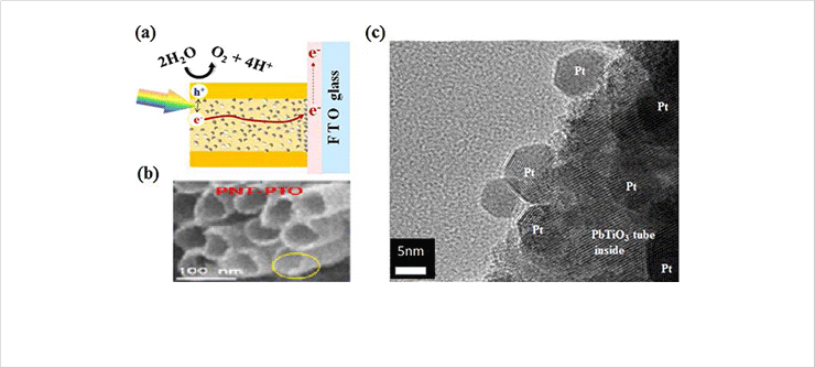 Figure 1. (a) Schematic model displaying light absorption followed by an efficient electron-hole separation by tunneling electrons inside and holes
outside of a nanotube in the Pt dots@ PbTiO3 nanotubes photoanode. (b, c) FE-SEM and HR-TEM (circled area) images of the top of nanotube displaying the presence of Pt nanodots on the internal surface of the nanotube.