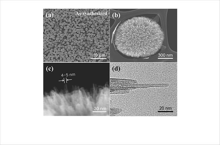 Fig. 1. SEM images of nanotubular sea urchinshaped iron oxides synthesized by ultrasound irradiation: (a) low magnification; (b) high magnification. UHR-FESEM images of nanotubular structure in nanotubular sea urchinshaped
iron oxides synthesized by ultrasound irradiation: (c) overall view; (d) single nanotubular structure
