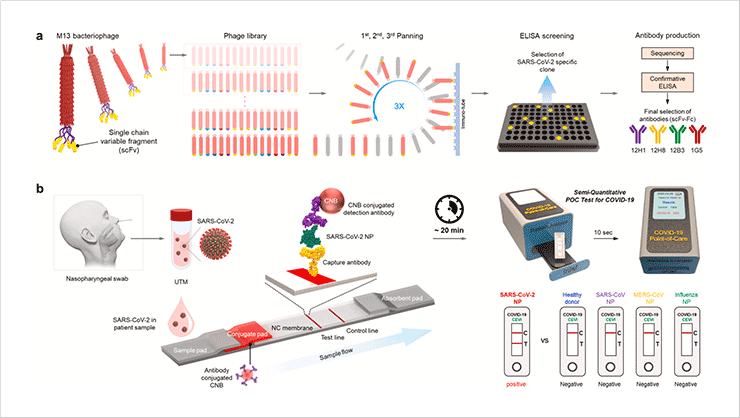Development of rapid and sensitive diagnostic methods for infectious diseases