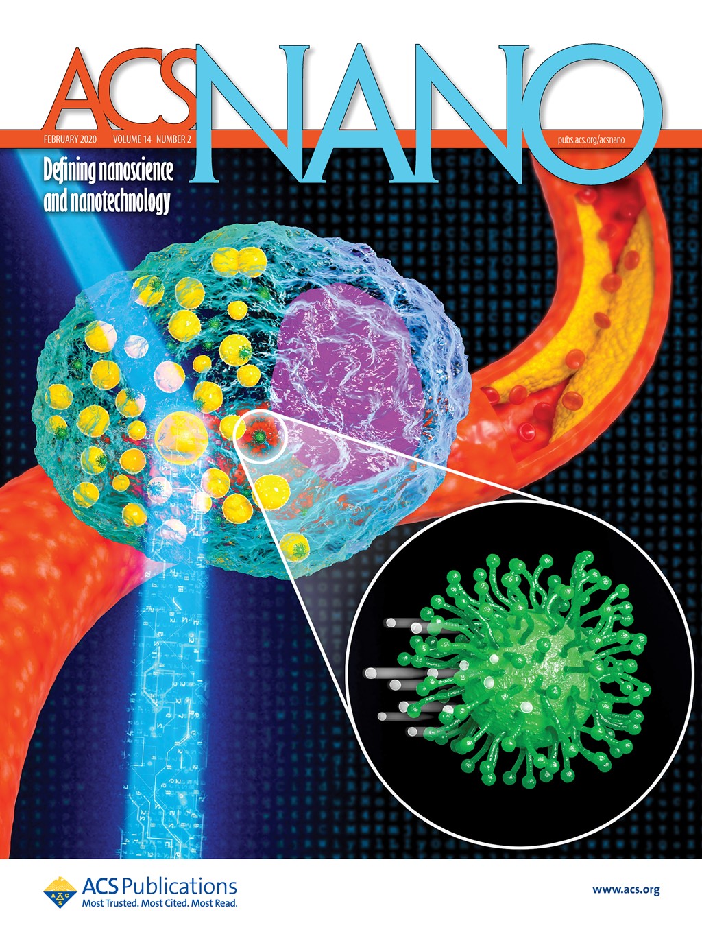 ACS Nano (2020.2) 속표지(Supplementary Journal Cover)