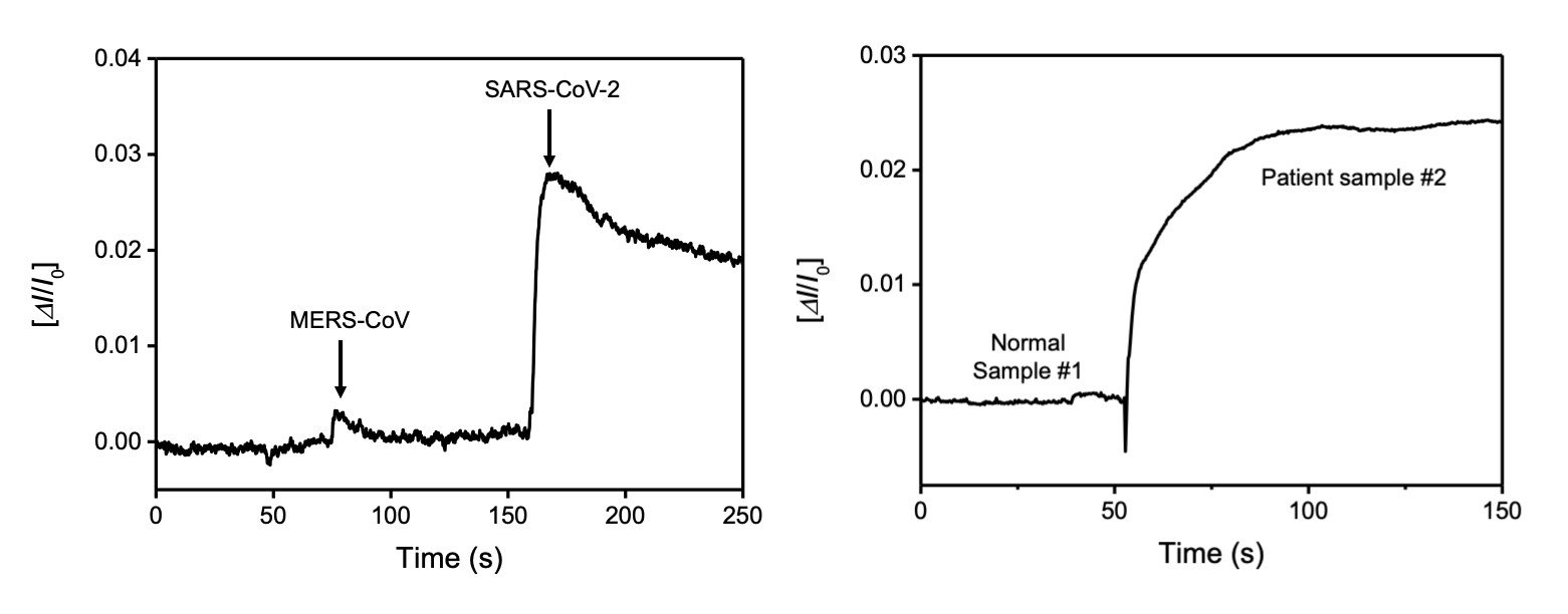 (왼쪽) 이번에 개발된 바이오센서의 메르스 바이러스와 코로나19 바이러스 검출
    비교 실험결과로서 코로나19(SARS-CoV-2)에 특이적으로 반응하여 전기적
    신호변화를 일으킴을 확인할 수 있다. (오른쪽) 환자 검체에서 코로나19
    바이러스를 검출한 실험결과로서 정상인의 샘플(#1)을 컨트롤(대조군) 신호로
    사용하고, 환자의 검체(#2)를 50초 전후로 주입시키면 즉각적으로 전기적인
    신호변화가 나타나는 것을 볼 수 있다.
