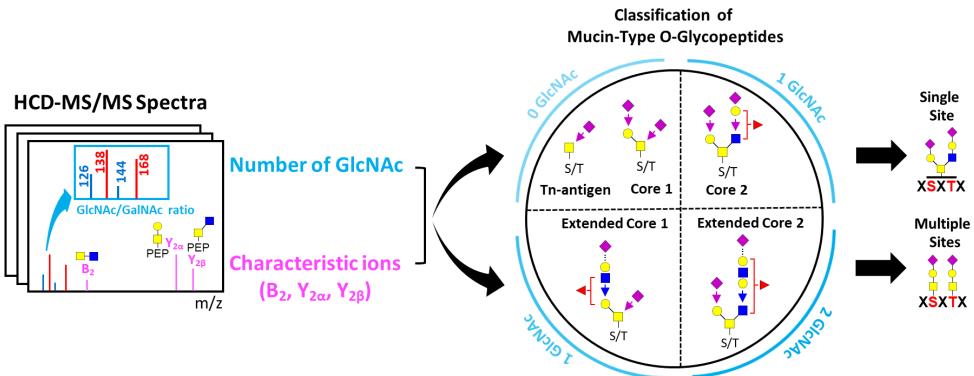 당단백질 질량분석 스펙트럼 분석을 통한 뮤신타입 당단백질의 분류