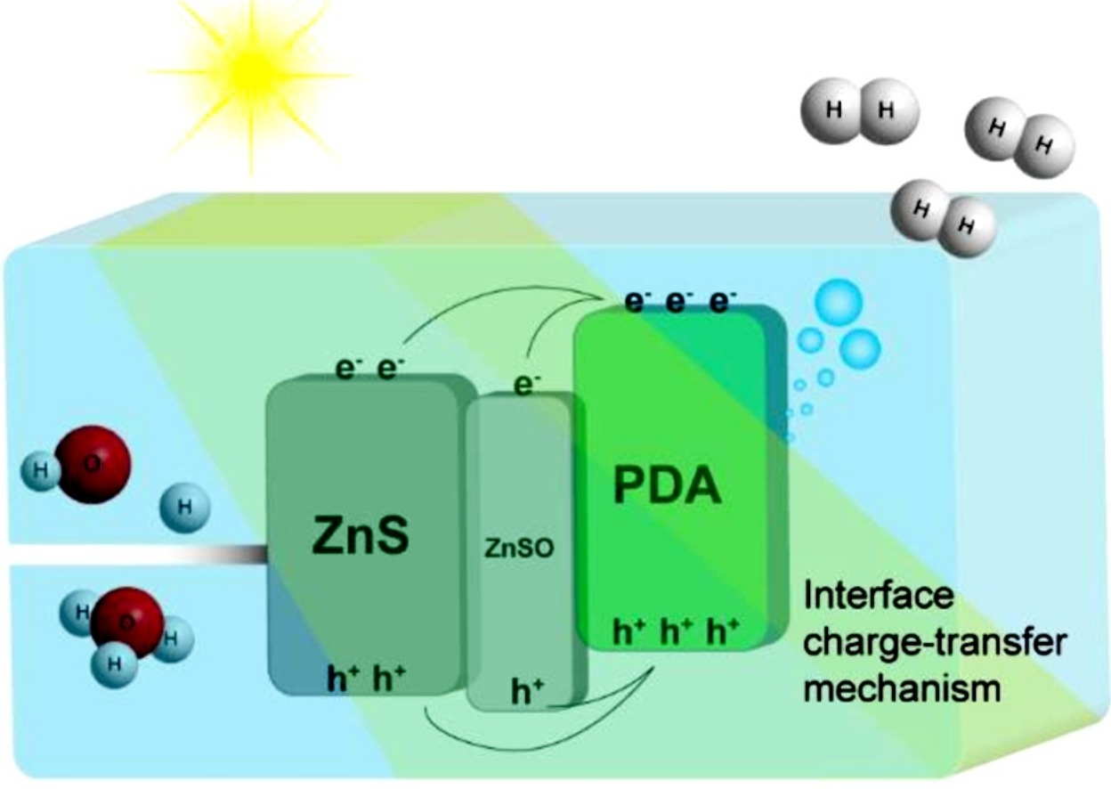 생체고분자(PDA, 폴리도파민)/반도체(황화아연, ZnS)접합구조체를 이용한
    고효율 전하-정공 분리 및 태양광 기반 수소 발생 광촉매 응용 모식도