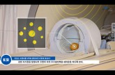 자기공명영상(MRI)