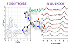 알츠하이머병의 아밀로이드 펩타이드 섬유화 원인 밝힌다<br />
Angewandte Chemie / 2014.12.<br />
[교신]김선희(서울서부)