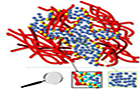 세계 최초로 나피온 전해질막 이온 이동 특성 규명<br />
Angewandte Chemie / 2015. 2.<br />
[교신]한옥희(서울서부) / [교신]Songi Han(University of California, Santa Barbara)