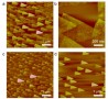 흑린 반도체 박막 대량생산 기반 마련<br />
Scientific Reports / 2016. 3.<br />
[교신]이현욱, 이주한(환경·소재)