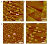 흑린 반도체 박막 대량생산 기반 마련<br />
Scientific Reports / 2016. 3.<br />
[교신]이현욱, 이주한(환경·소재)