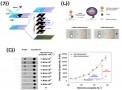 3차원 종이칩만으로 현장에서 감염병을 찾아낸다<br />
Scientific Reports / 2016. 5.<br />
[제1]한귀남, [교신]최종순, 권요셉(바이오융합)