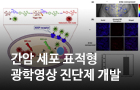 간암 세포 표적형 광학영상 진단제 개발 <br />
Biomaterials / 2017.4.<br />
[교신] 홍관수(바이오융합)