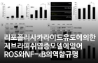 리포폴리사카라이드 유도에 의한 제브라피쉬 염증모델에 있어 ROS와 NF-κB의 역할 규명<br />
Fish & Shellfish Immunology / 2017.9.<br />
[제1]조수현(춘천) / [교신]김길남(춘천)