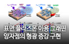 표면 플라즈몬 이용 그래핀 양자점의 형광 증강 구현<br />
ACS Applied Materials & Interfaces / 2018. 04.<br />
[제1]채원식(대구) / [교신]채원식(대구), 전석우(KAIST)