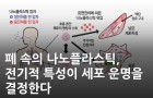 폐 속의 나노플라스틱, 전기적 특성이 세포 운명을 결정한다 <br />
Nano Lett. / 2020.10.<br />
[제1] 박상우(KBSI 광주센터), Amir Roshanzadeh(전남대학교)<br />
[교신] 이성수(KBSI 광주센터), 김응삼(전남대학교)