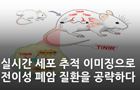 실시간 세포 추적 이미징으로 전이성 폐암 질환을 공략하다<br />
Biomater. Res. / 2024. 4. <br />
[제1] 문슬기(순천대학교), 심현보(순천대학교), 이재혁(KBSI 광주센터)<br />
[교신] 이성수(KBSI 광주센터), 장동조(순천대학교), 김종진(순천대학교)
