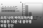 소의 나이 바이오마커를 이용한 10분 내 광우병 위험 진단<br />
Sens. Actuator B-Chem. / 2025. 2.<br />
[제1] 정봉진 (KBSI 디지털오믹스연구부)<br />
[교신] 최종순 (KBSI 질환표적연구그룹)