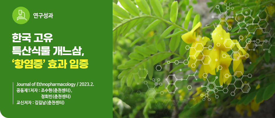 (연구성과) 한국 고유 특산식물 개느삼, ‘항염증’ 효과 입증
Journal of Ethnopharmacology / 2023.2.
공동제1저자 : 조수현(춘천센터),
                  정회빈(춘천센터)
교신저자 : 김길남(춘천센터) 
