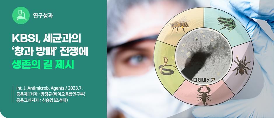 (연구성과) KBSI, 세균과의 '창과 방패' 전쟁에 생존의 길 제시
Int. J. Antimicrob. Agents / 2023.7.
공동제1저자 : 방정규(바이오융합연구부)
공동교신저자 : 신송엽(조선대)