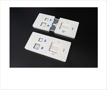 [Figure 1] Prototype of paper-based multiplex analytical device for CDI diagnosis