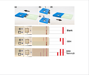 [Figure 2] One-step operating procedure of paper device and CDI testing results 