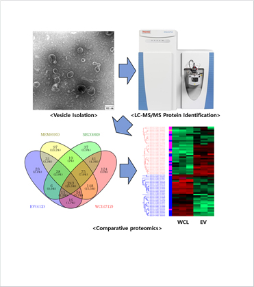 [Figure 1] The proteomics-based antigen screening for Streptococcus equi