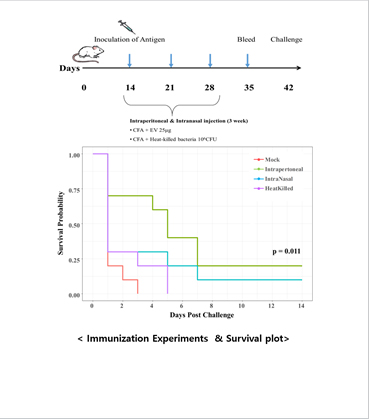 [Figure 2] The survival plot of mice immunization experiments