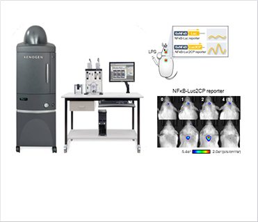 [Figure1] IVIS200 and inflammation sensor