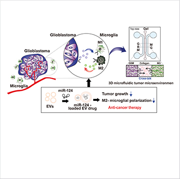 [Figure 1] Schematic illustration showing  overall experimental strategy for GBM and microglia anti-cancer therapy using a 3D microfluidic chip