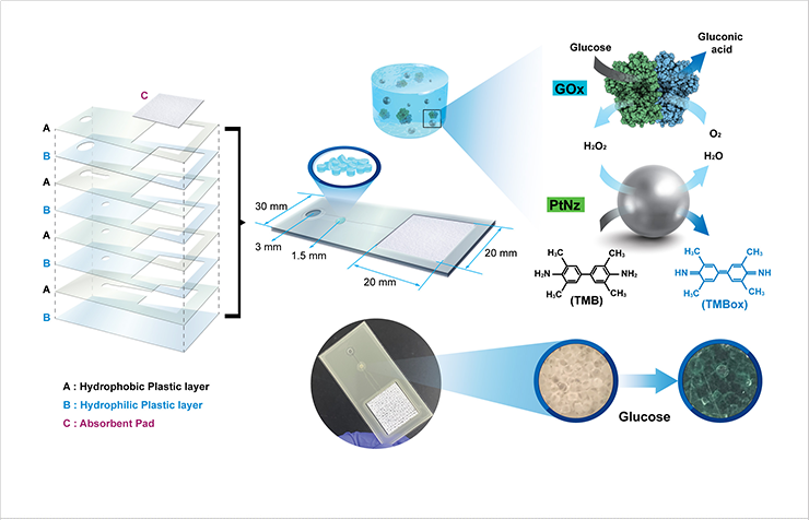 [Figure 1] Design and operation principle of the PtNZHG-based glucose sensor