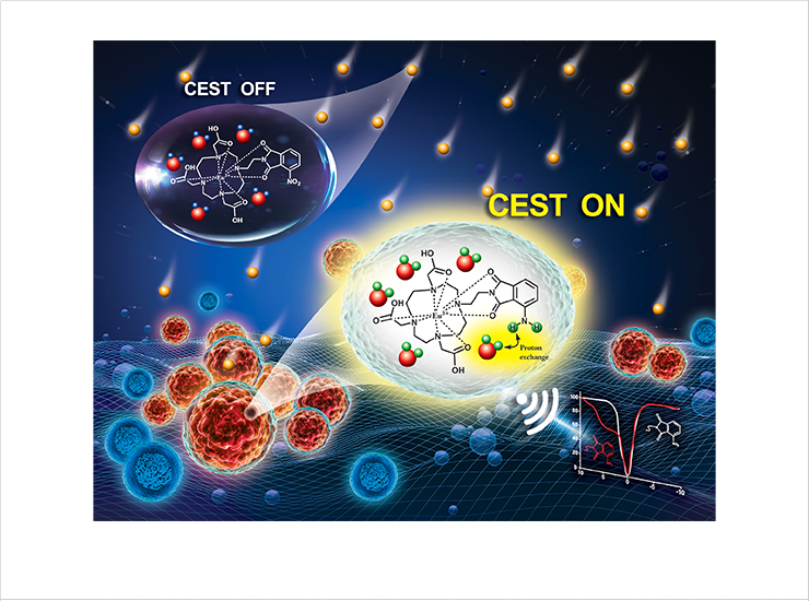 Development of a new concept imaging probe that detects hypoxia and diagnoses tumors