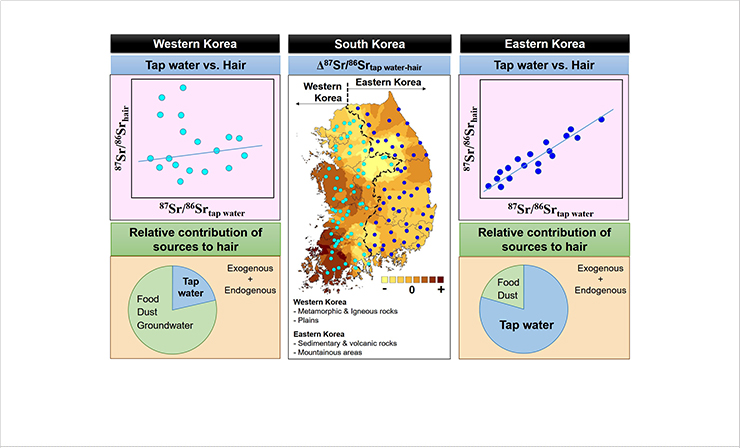 [Figure 2]  Main factors controlling 87Sr/86Sr ratios for human hair collected in each province of western and eastern Korea