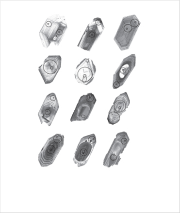 [Figure 1] Electron microscope images of zircons from Cretaceous plutons