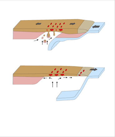 [Figure 2] Schematic cartoon illustrating the Cretaceous tectonomagmatic evolution of the Korean Peninsula