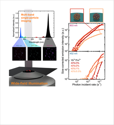 [Figure 1] Development of single-particle spectroscopy platform of upconverting nanoparticles