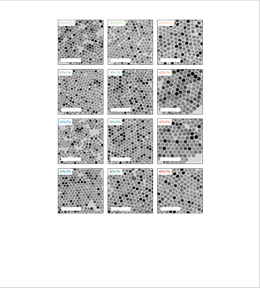 [Figure 2] Electron microscope images of upconverting nanoparticles with various doping ratio of rare-earth ions