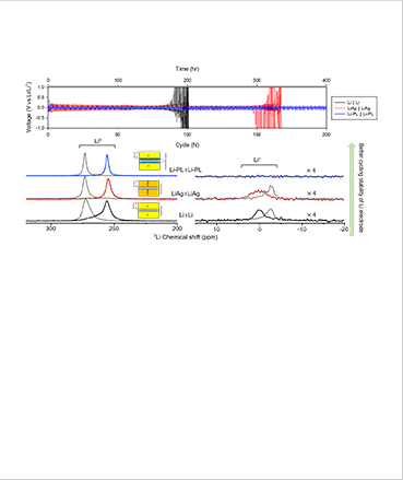 Comparison of data from lithium-metal batteries comprising bare lithium electrodes, lithium electrodes with protective coatings (Li-PL), and lithium-silver alloy electrodes (LiAg)

(Above) Voltage data during charging and discharging cycles.
(Below) <sup>7</sup>Li NMR spectra after 50 charging-discharging cycles. (Gray signals indicate signals from samples oriented parallel to the external magnetic field.)