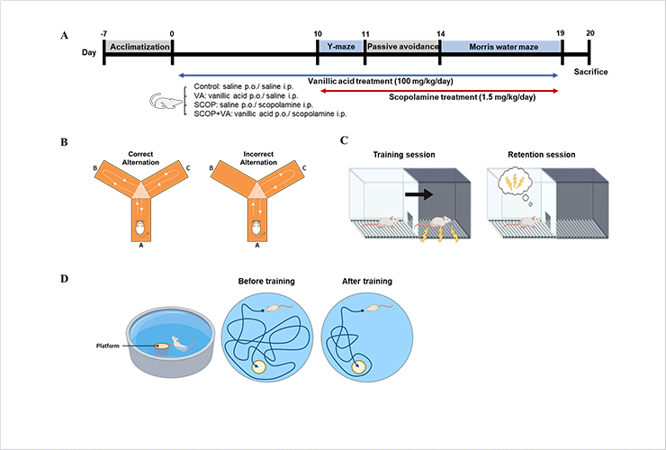 Fig. 1 Timeline of in vivo experiment and methods of behavioral tests