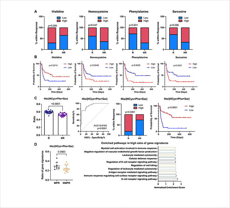 Fig. 1 Association of amino acid Metabolism with immunotherapy and prognosis