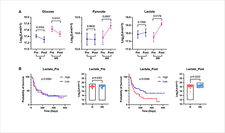 Fig. 2 Association of glycolysis with immunotherapy response and prognosis