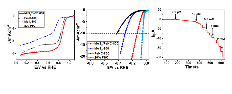 Fig. 2 (Left) ORR activity, (Middle) HER performance compared to control and Pt/C, (Right) Amperometric response showing sensitive H₂O₂ detection down to 0.2 μM.