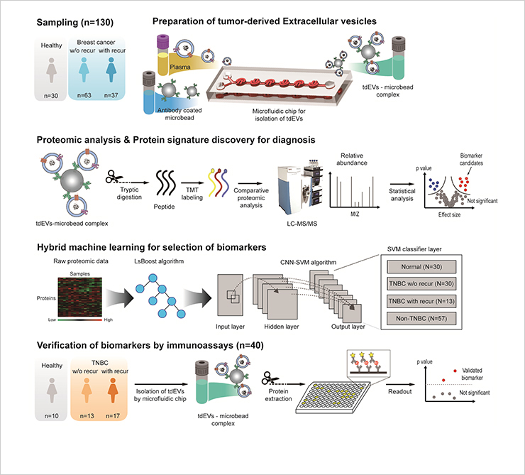 [Figure 1] Diagnostic technology for early prediction of TNBC recurrence using microfluidic chips
