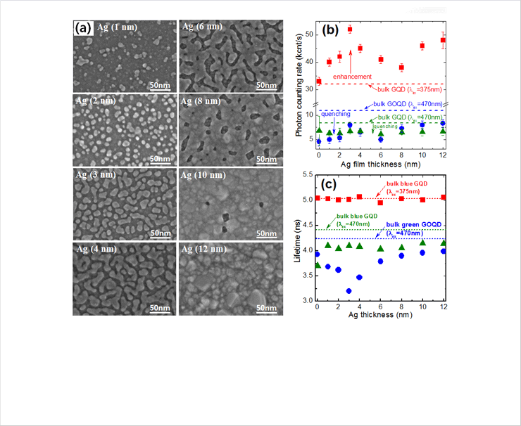 (a) SEM images of the Ag nanofilms grown by the reactive sputtering process on ZnO substrates, (b) Fluorescence photon counting rates of the GQD (square) and GOQD (circle) near Ag nanofilms. The dotted lines indicate the photon counting rates of the bulk GQD and bulk GOQD solutions as control references. (c) Fluorescence lifetimes of the GQD (square) and GOQD (circle) near Ag nanofilms on ZnO-coated Si substrates.