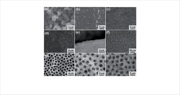Figure. 1 SEM images of (a) the shape-controlled silica zeolite (S-SiO2),
  (b) assembled zeolites on glass, (c and d) top,
  (e) side, (f-i) bottom view of the MONF.