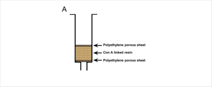 Figure 3. Modified SPE chromatography column used for the concentration of HuNoV.