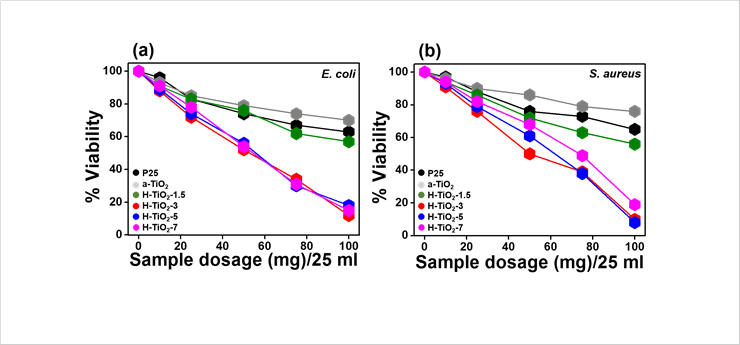 Figure 3. Modified SPE chromatography column used for the concentration of HuNoV.