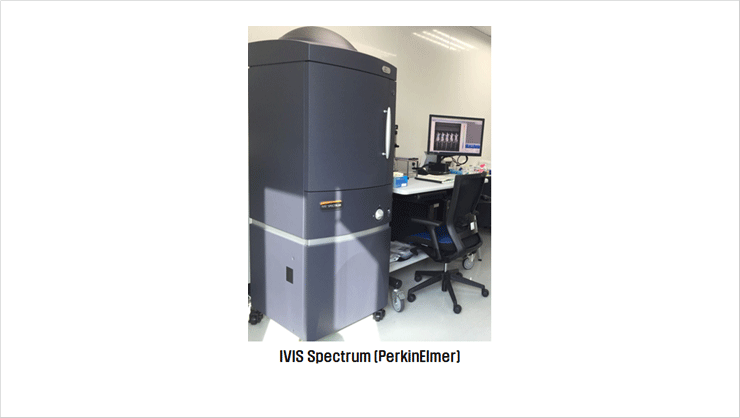 [Figure 1] In vivo optical imaging system used in the study 