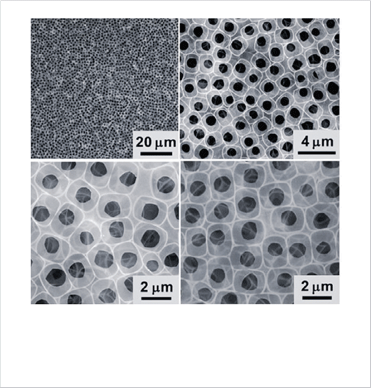 (left) AFM image of triangle-shaped BP