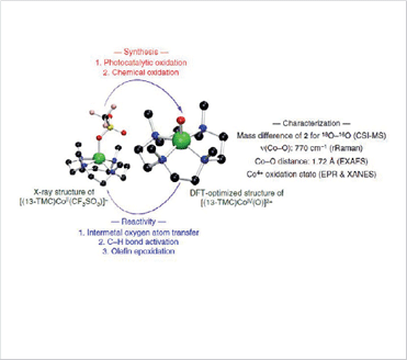 (left) Synthesis, structure, and reactivity studies of Co(IV)-oxo complex
