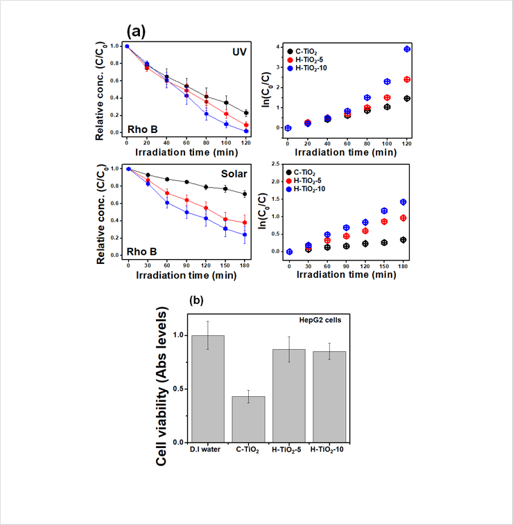 Fig. 3. (a) Removal of Rhodamine B (Rho B) by C-TiO<sub>2</sub>, H-TiO<sub>2</sub>-5 and H-TiO<sub>2</sub>-10 under UV- and/or solar-light irradiation. (b) Cytotoxicity of purified water by C-TiO<sub>2</sub>, H-TiO<sub>2</sub>-5 and H-TiO<sub>2</sub> as analyzed by MMT assay using HepG2 (liver cancer cells, human) cell lines.