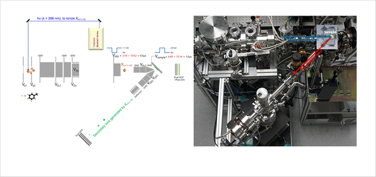 General schematic diagram of ToF-SIMS with the organic molecular cluster ion beam apparatus