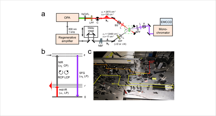 Experimental layout (a), energy-level diagram (b) and photographic image (c) for chiral vibrational SFG measurement